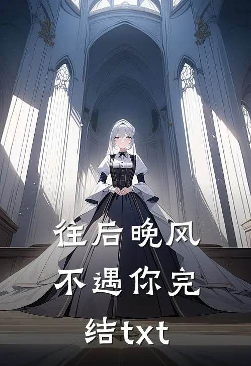 往后晚风不遇你完结txt