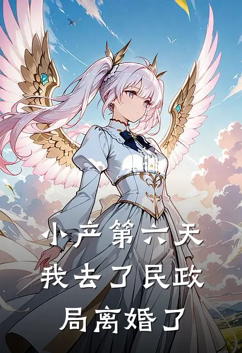 小产第六天，我去了民政局离婚了