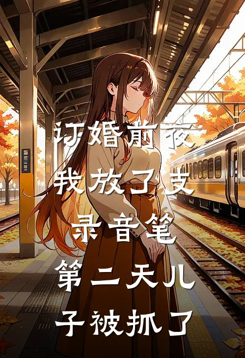 订婚前夜我放了支录音笔，第二天儿子被抓了