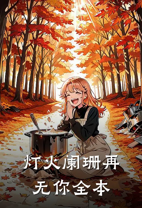 灯火阑珊再无你全本