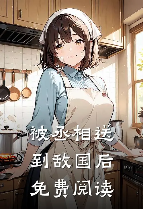 被丞相送到敌国后免费阅读