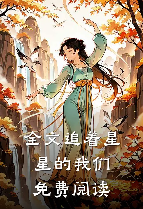 全文追着星星的我们免费阅读