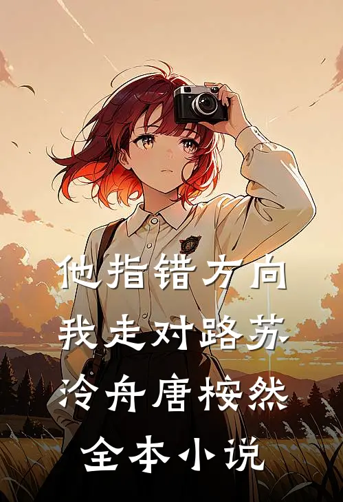 他指错方向，我走对路苏泠舟唐桉然全本小说