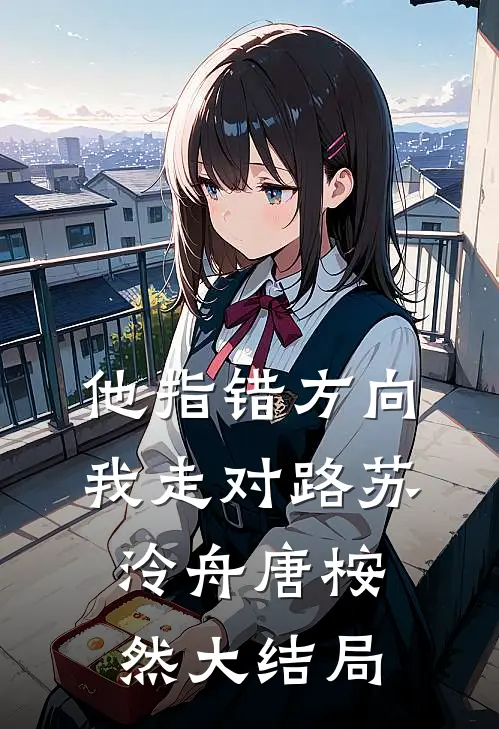 他指错方向，我走对路苏泠舟唐桉然大结局