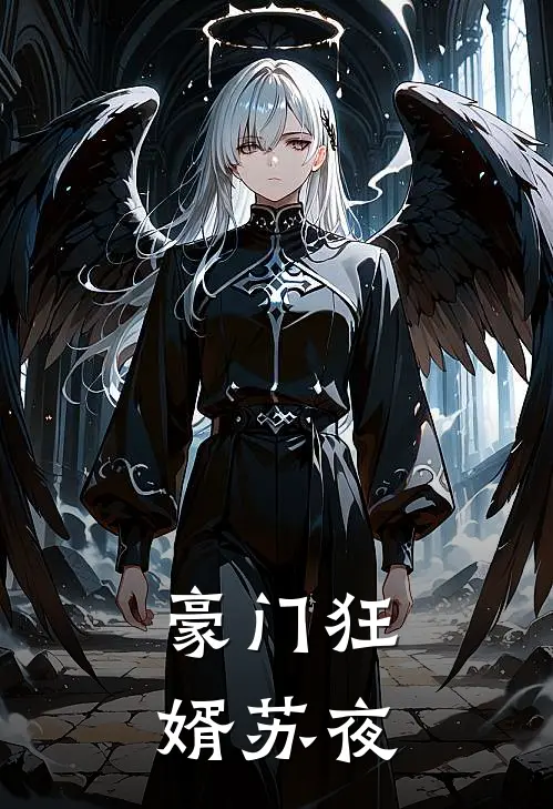 豪门狂婿苏夜
