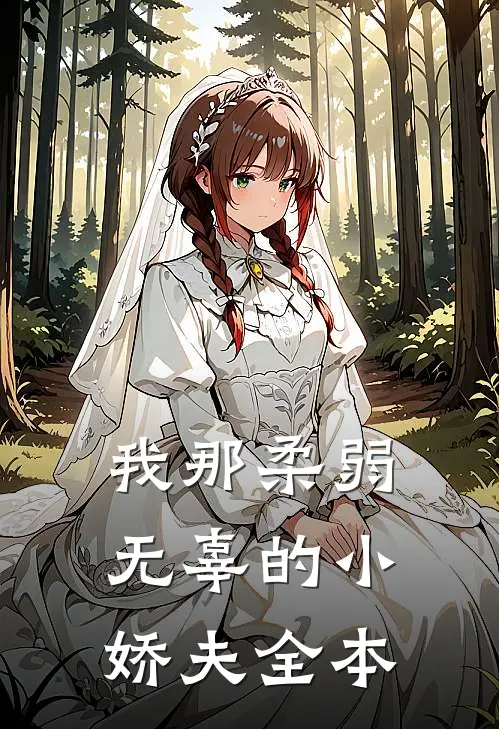 我那柔弱无辜的小娇夫全本