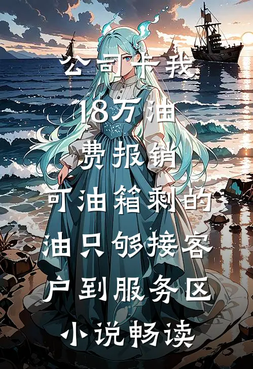 公司卡我18万油费报销，可油箱剩的油只够接客户到服务区小说畅读