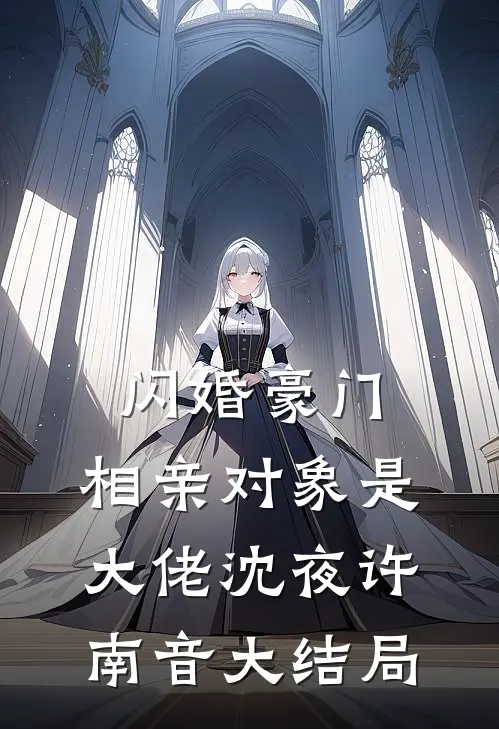 闪婚豪门：相亲对象是大佬沈夜许南音大结局