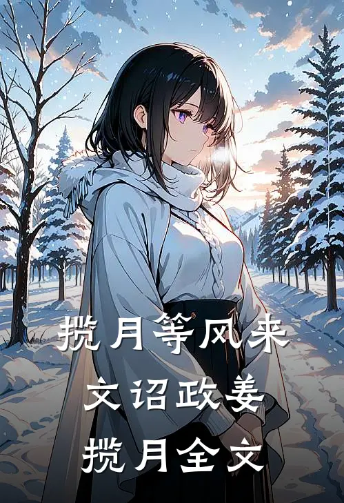 揽月等风来文诏政姜揽月全文
