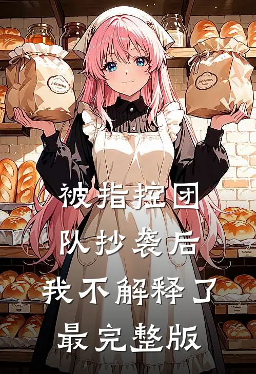 被指控团队抄袭后，我不解释了最完整版