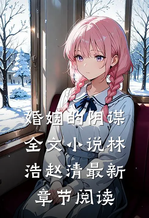 婚姻的阴谋全文小说林浩赵清最新章节阅读