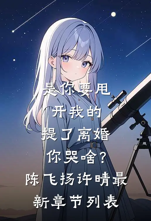 是你要甩开我的，提了离婚你哭啥？陈飞扬许晴最新章节列表