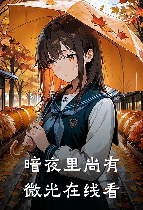 暗夜里尚有微光在线看