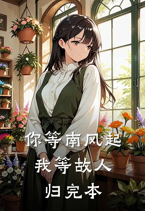 你等南风起，我等故人归完本