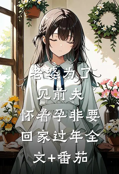 老婆为了见前夫，怀着孕非要回家过年全文+番茄
