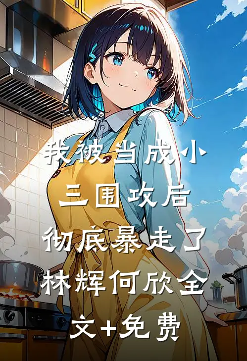 我被当成小三围攻后，彻底暴走了林辉何欣全文+免费