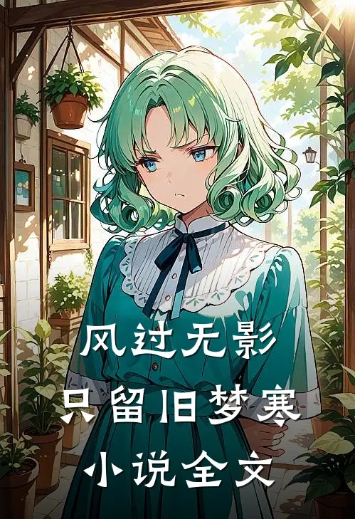 风过无影，只留旧梦寒小说全文