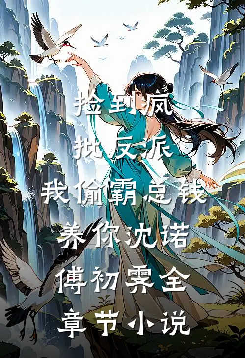 捡到疯批反派，我偷霸总钱养你沈诺傅初霁全章节小说