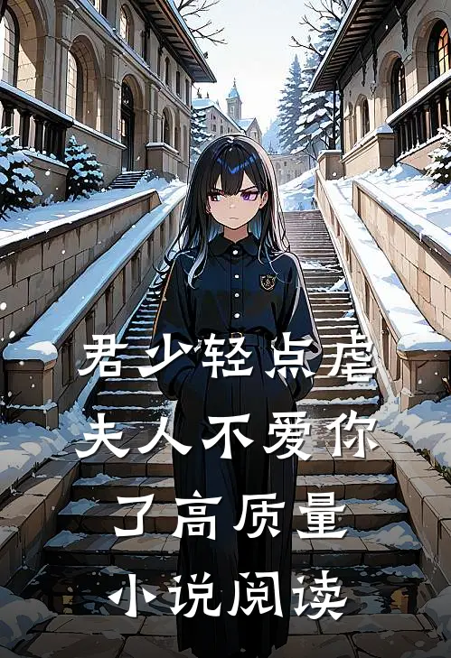 君少轻点虐，夫人不爱你了高质量小说阅读