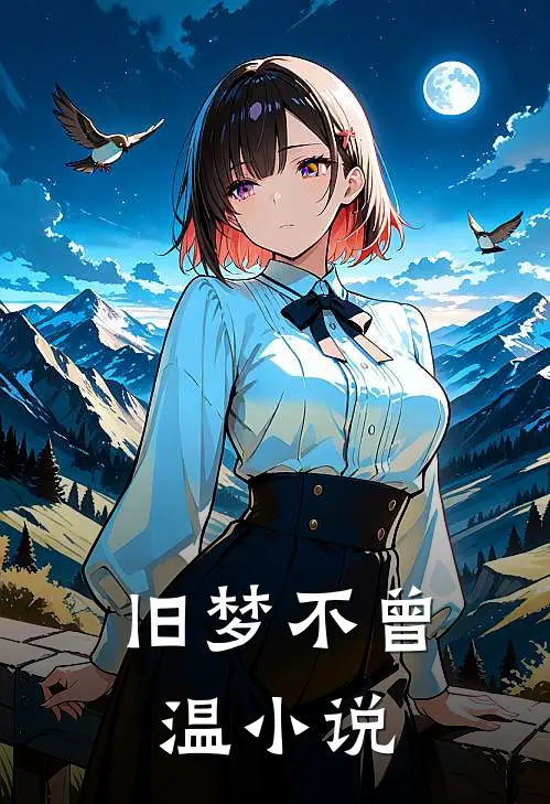 旧梦不曾温小说