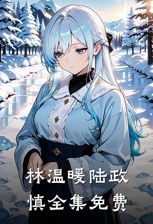 林温暖陆政慎的小说