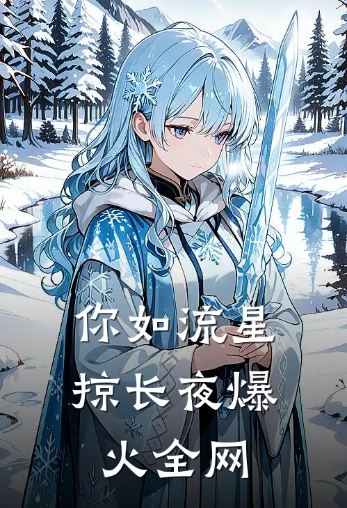 你如流星掠长夜爆火全网