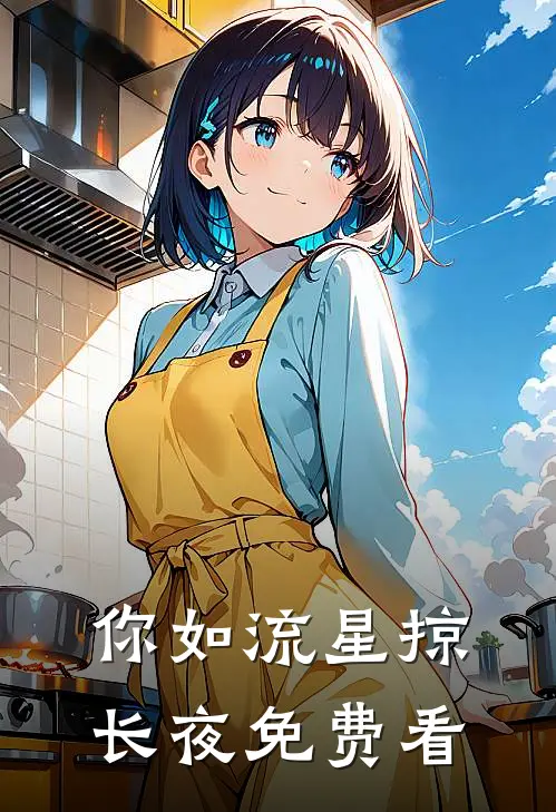 你如流星掠长夜免费看