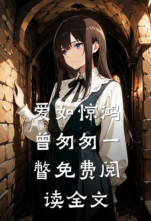 爱如惊鸿，曾匆匆一瞥免费阅读全文
