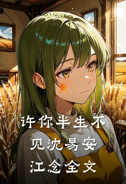 许你半生不见沈易安江念全文