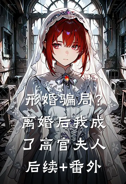 形婚骗局？离婚后我成了高官夫人后续+番外