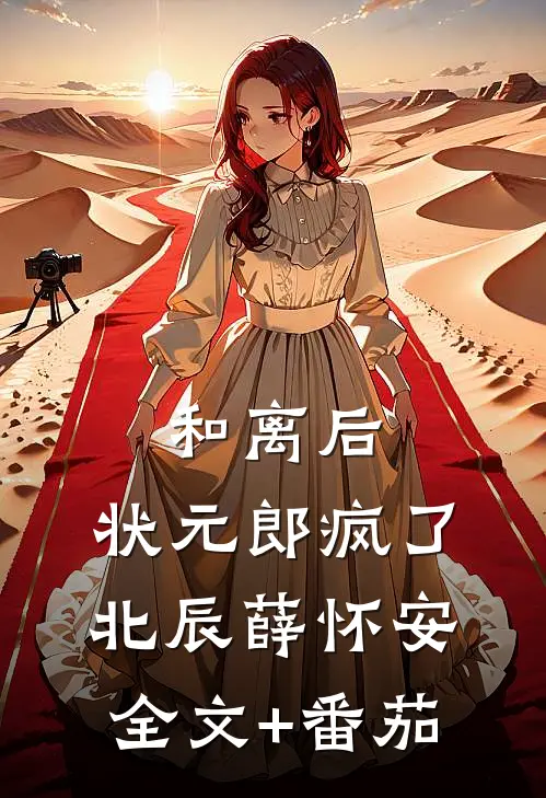 和离后，状元郎疯了北辰薛怀安全文+番茄