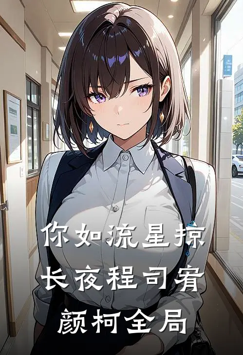 你如流星掠长夜程司宥颜柯全局
