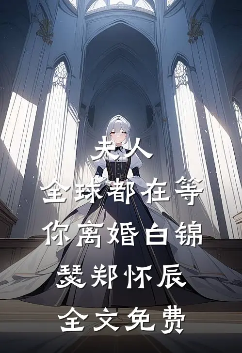 夫人，全球都在等你离婚白锦瑟郑怀辰全文免费