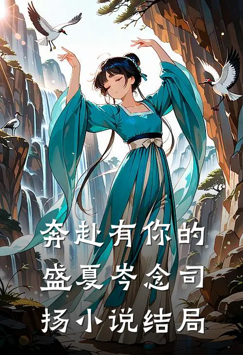 奔赴有你的盛夏岑念司扬小说结局