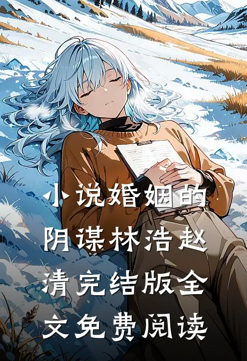 小说婚姻的阴谋林浩赵清完结版全文免费阅读