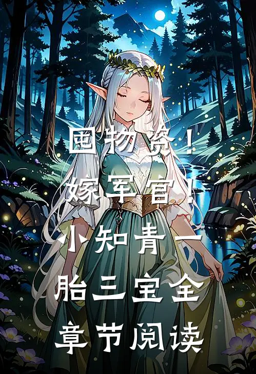 囤物资！嫁军官！小知青一胎三宝全章节阅读