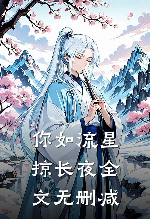 你如流星掠长夜全文无删减