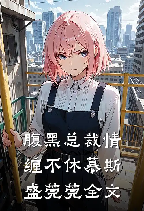 腹黑总裁情缠不休慕斯盛莞莞全文