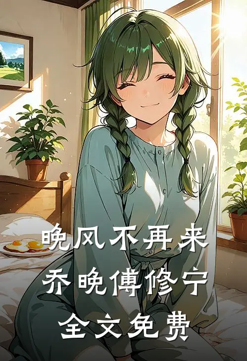 晚风不再来乔晚傅修宁全文免费
