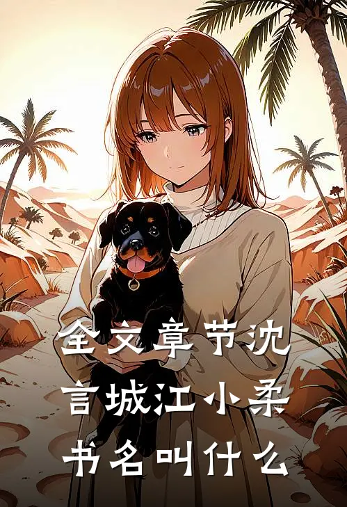 全文章节沈言城江小柔书名叫什么