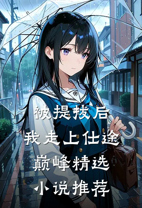 被提拔后，我走上仕途巅峰精选小说推荐
