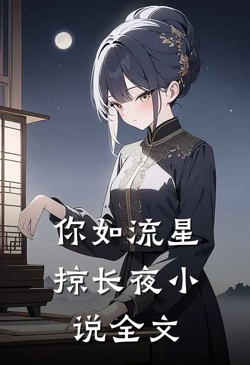 你如流星掠长夜小说全文