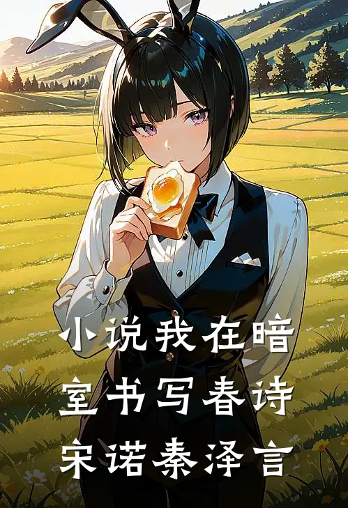 小说我在暗室书写春诗(宋诺秦泽言)