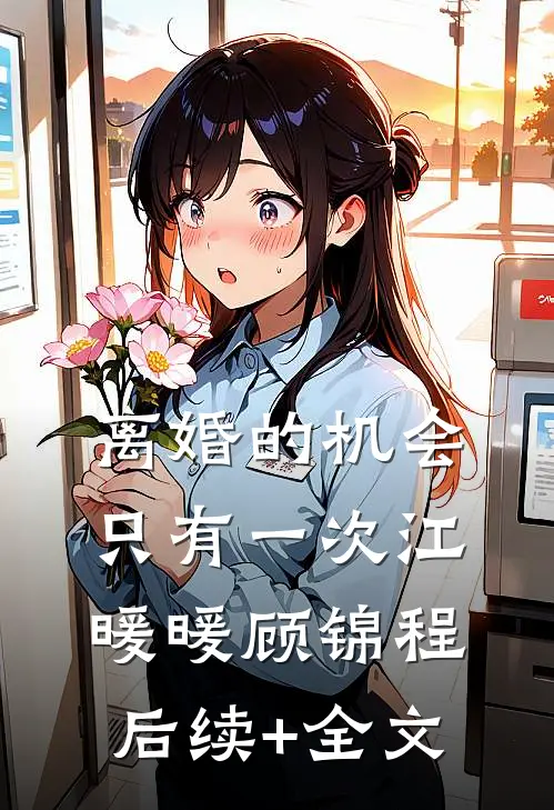离婚的机会只有一次江暖暖顾锦程后续+全文