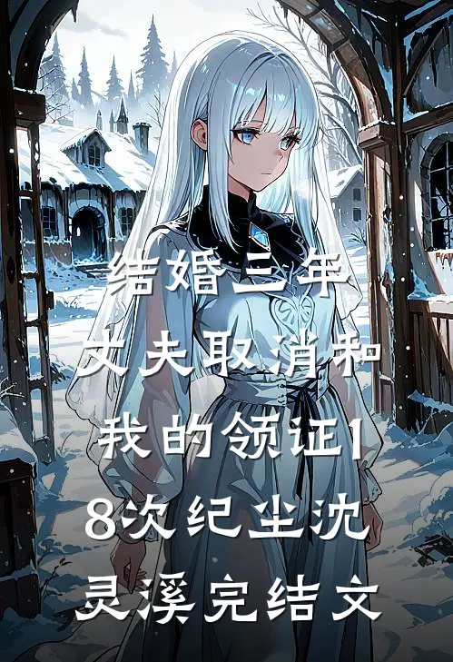 结婚三年，丈夫取消和我的领证18次纪尘沈灵溪完结文
