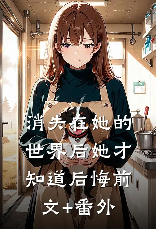 消失在她的世界后她才知道后悔前文+番外