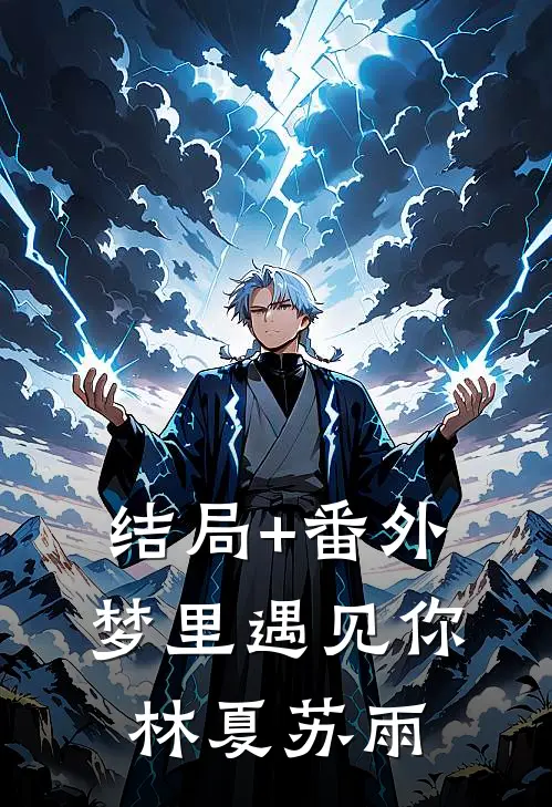 结局+番外梦里遇见你林夏苏雨