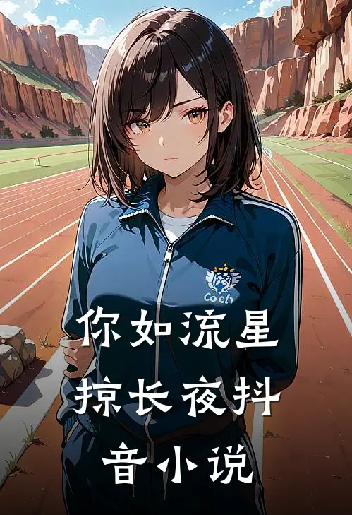 你如流星掠长夜抖音小说