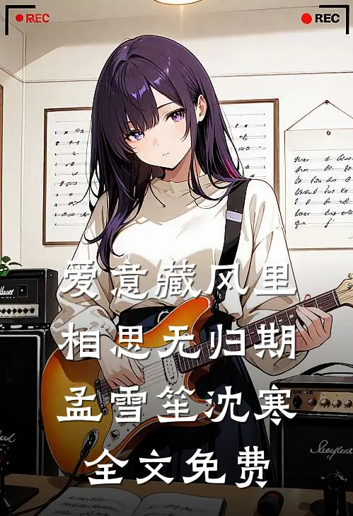 爱意藏风里，相思无归期孟雪笙沈寒全文免费