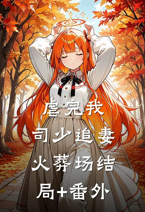 虐完我，司少追妻火葬场结局+番外
